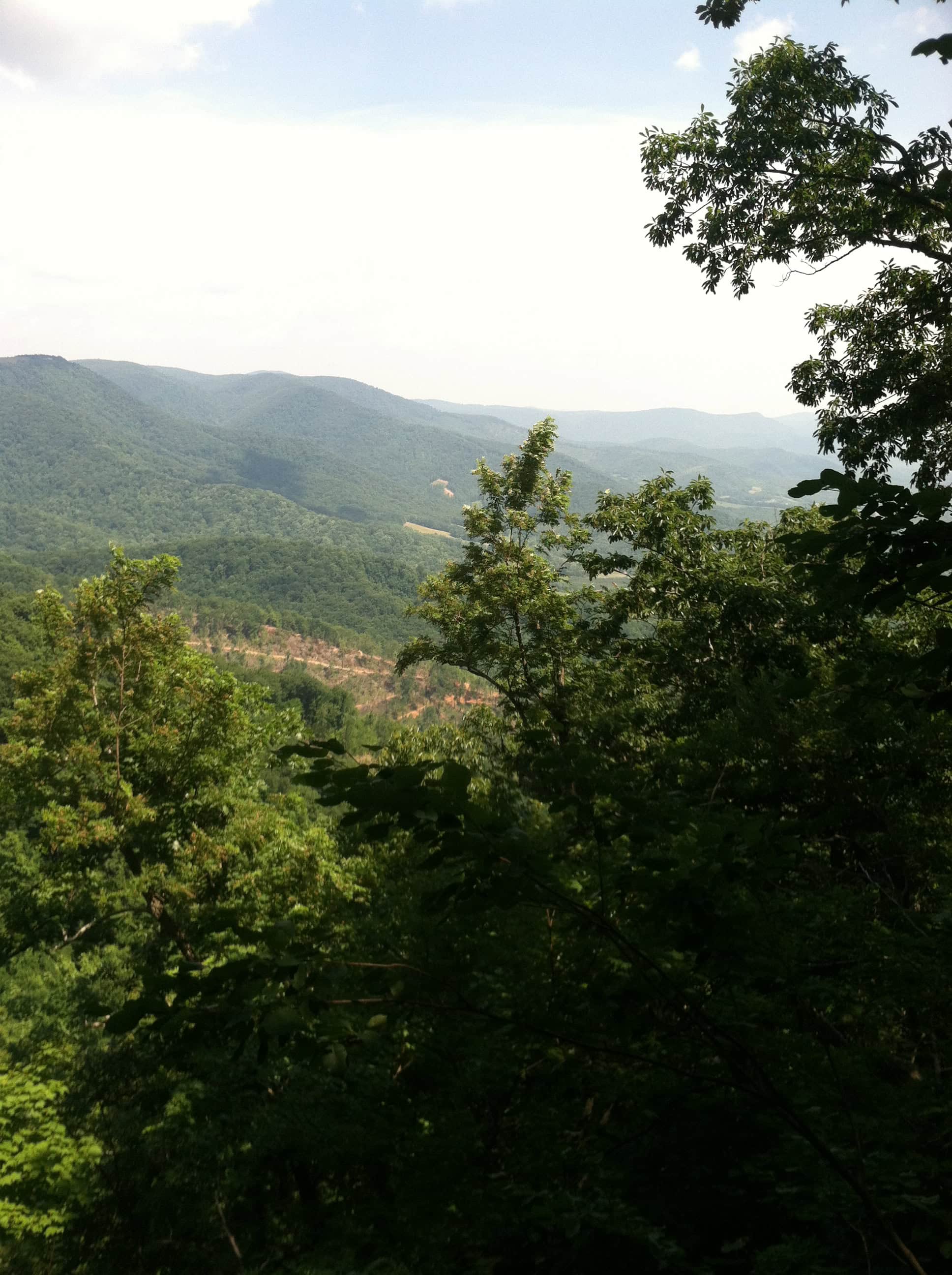 The Beginning: A Vision Worth Slowing Down For