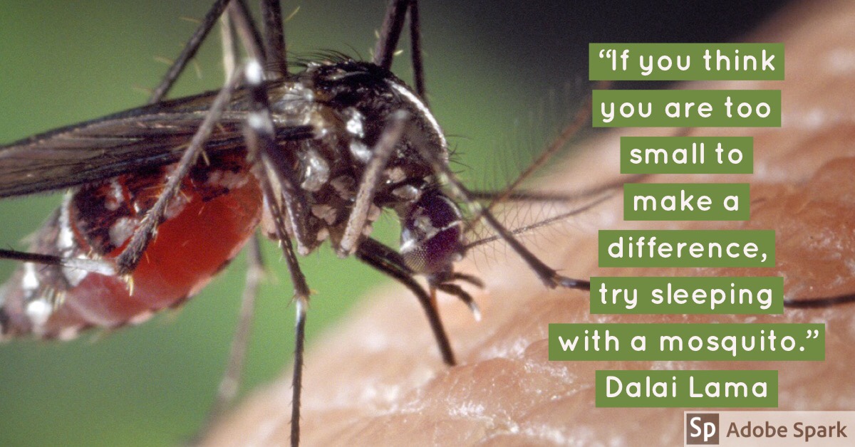 Can you make a difference?