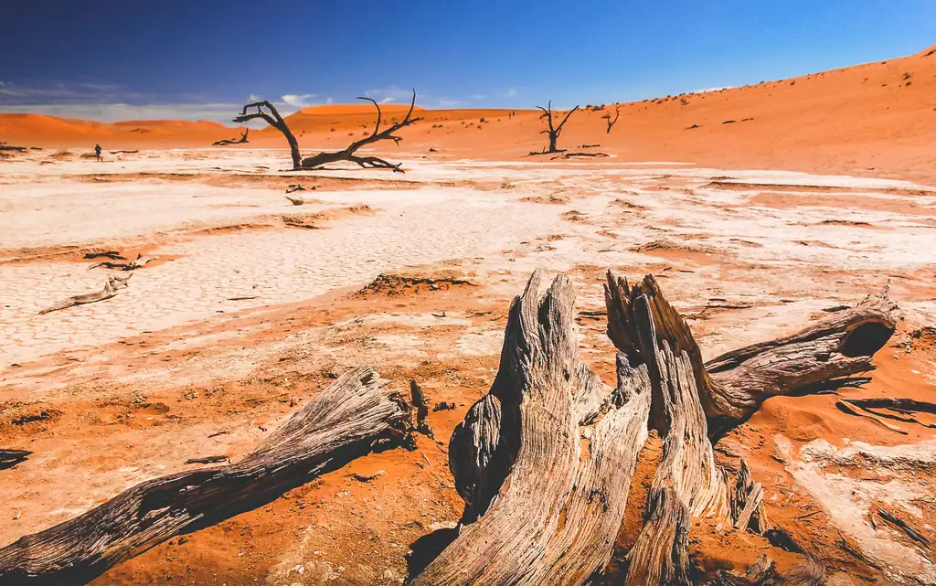 A Prayer for God’s Blessings on Families, Nations, and the World, Day 230, Namibia