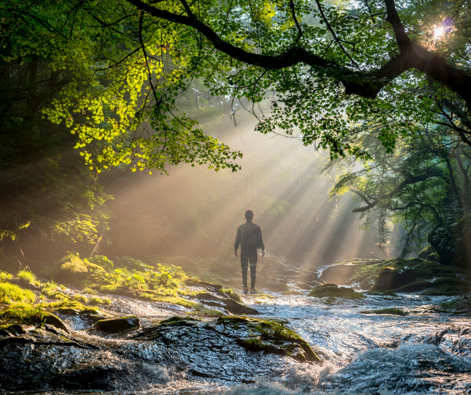 What Happens After the Story Ends?