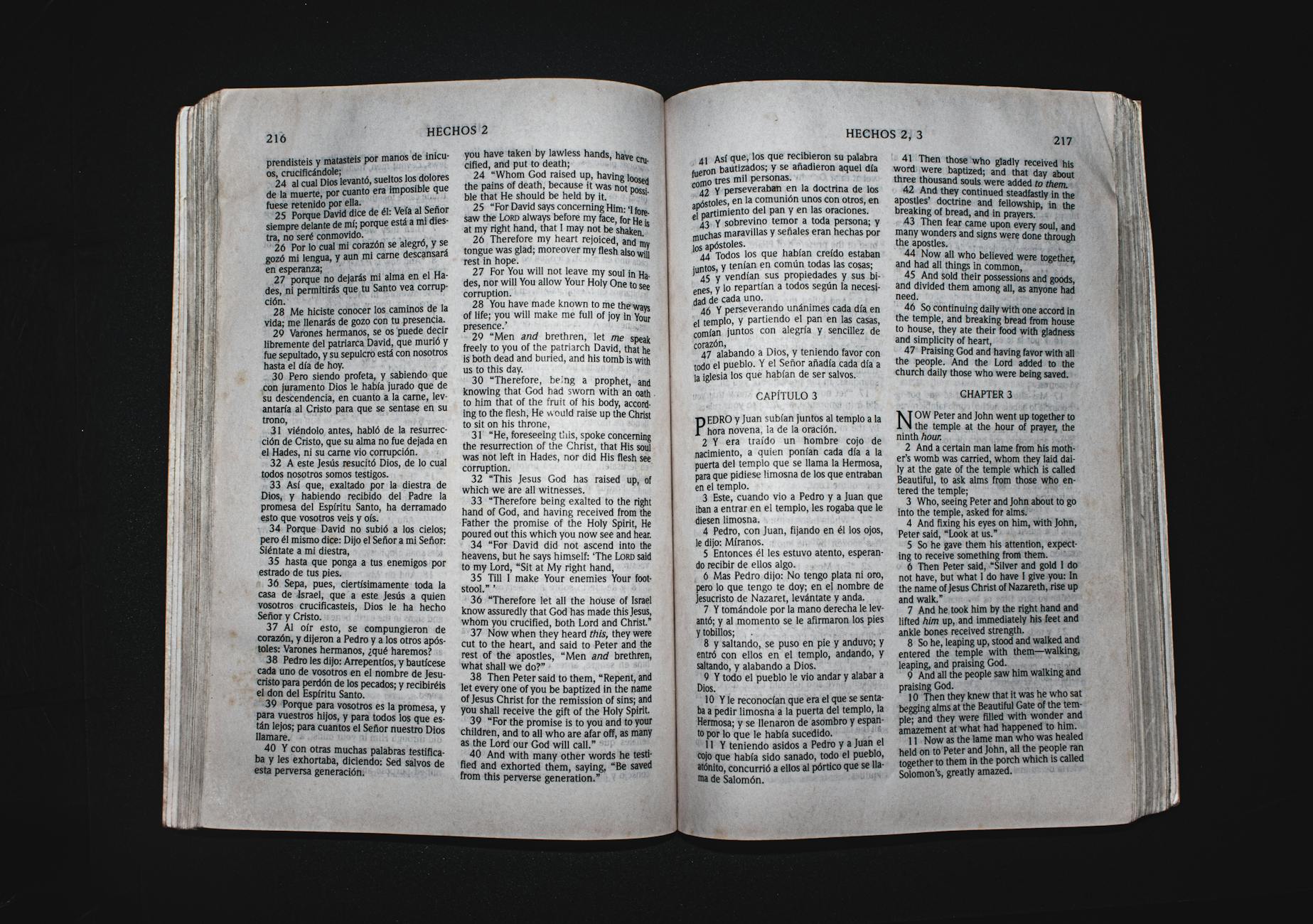 Wait… Who Are the Trinitarians?