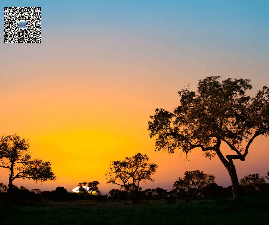 A Prayer for God’s Blessings on Families, Nations, and the World, Day 325, South Africa