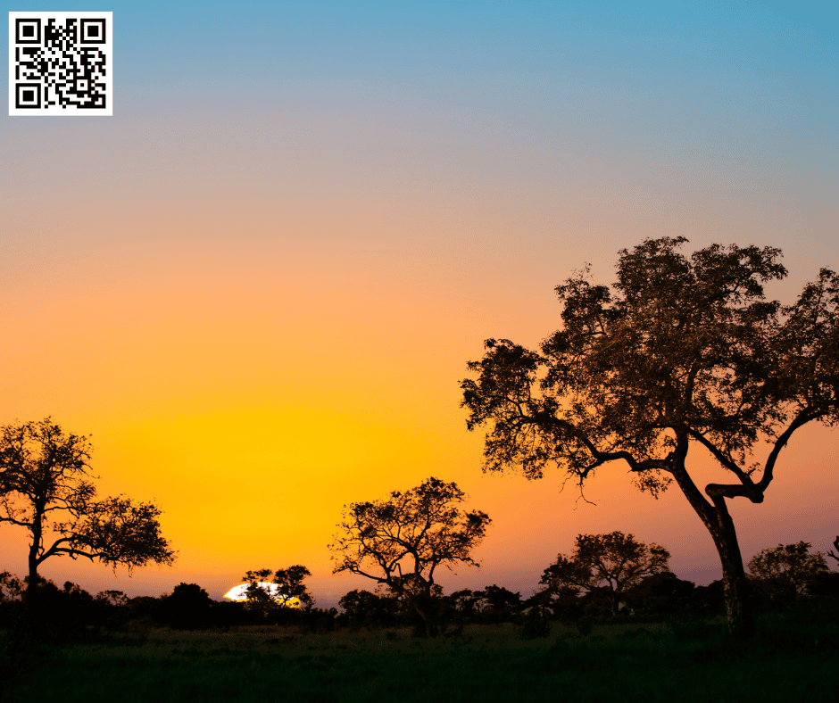 A Prayer for God’s Blessings on Families, Nations, and the World, Day 326, South Africa