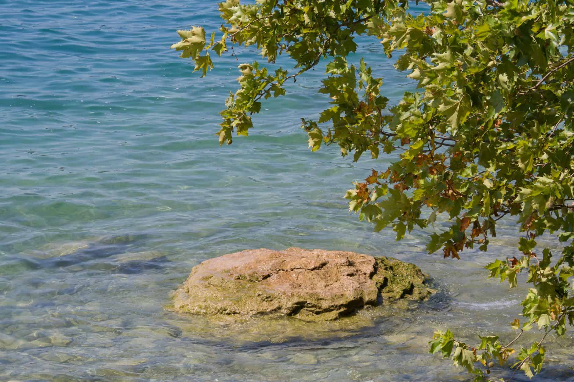 Peter: The Man Jesus Called Rock